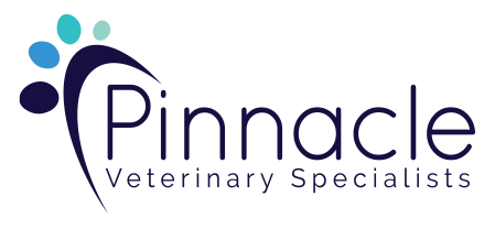 pinnacle logo updated