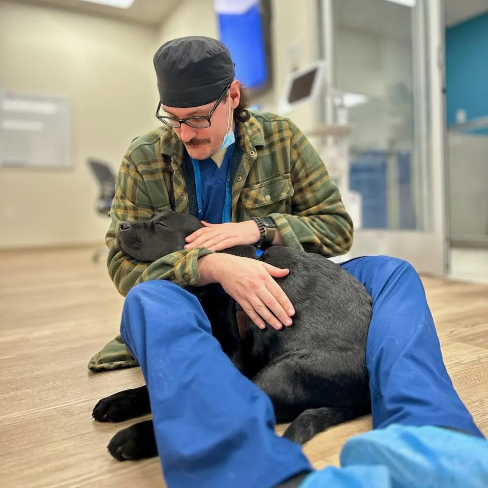 male veterinarian sitting on the floor and comforting black dog