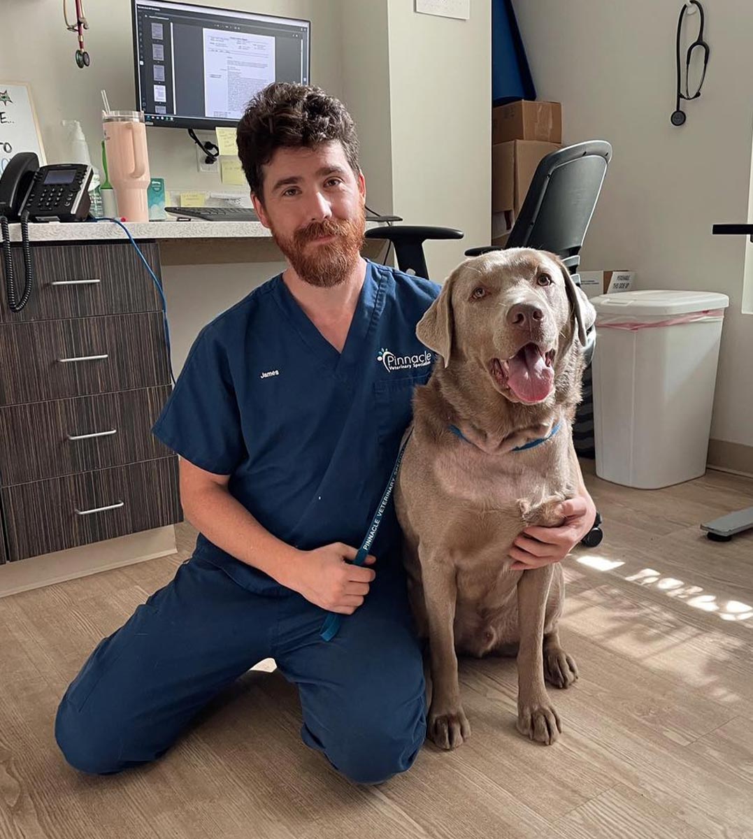 male veterinary nurse with golden retriever male veterinary nurse with golden retriever