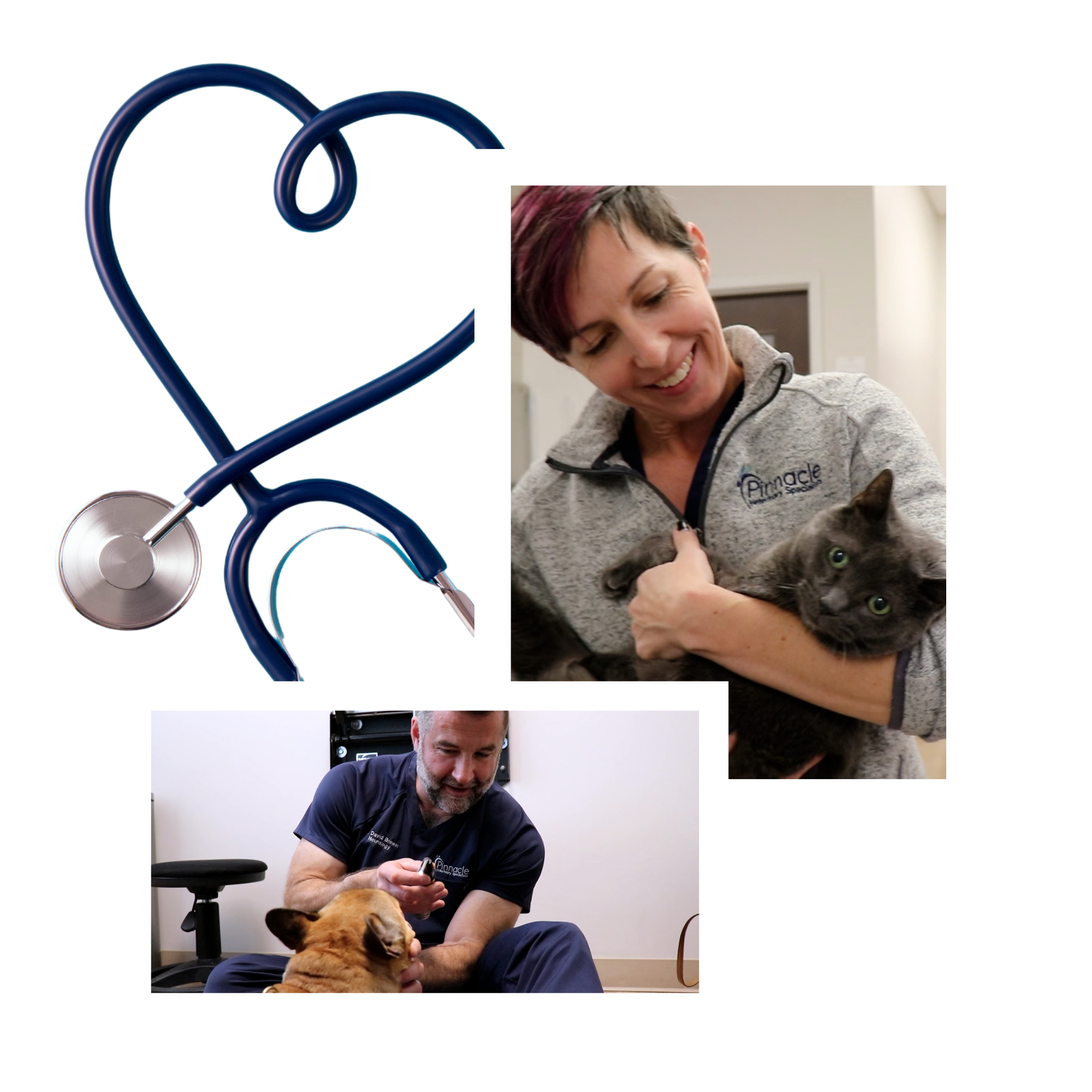 Untitled design (42)